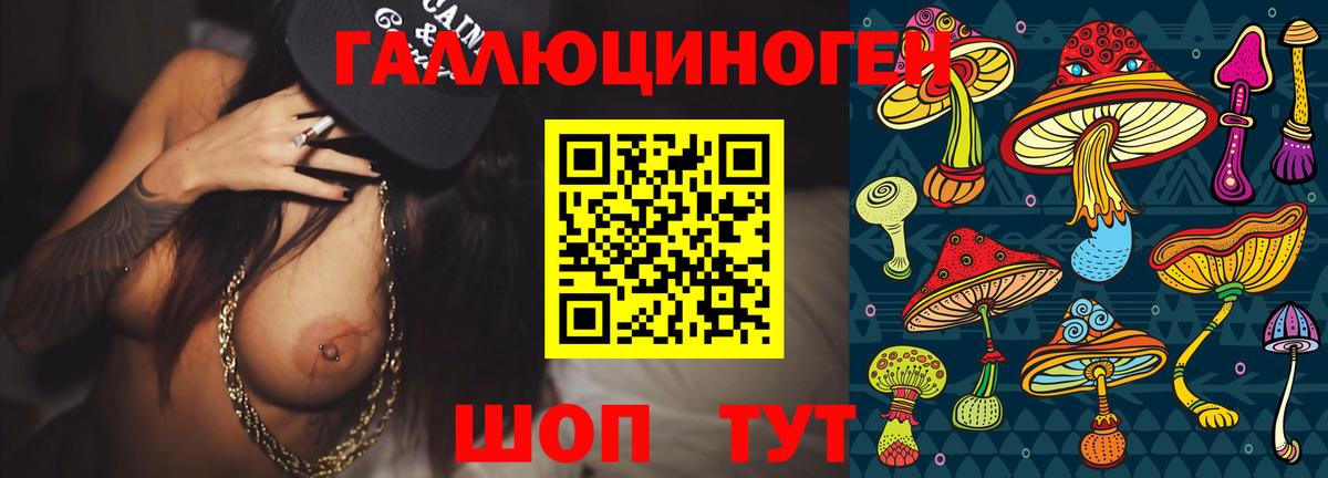 Елизово  Псилоцибиновые грибы Psilocybine cubensis  Вход с VPN 