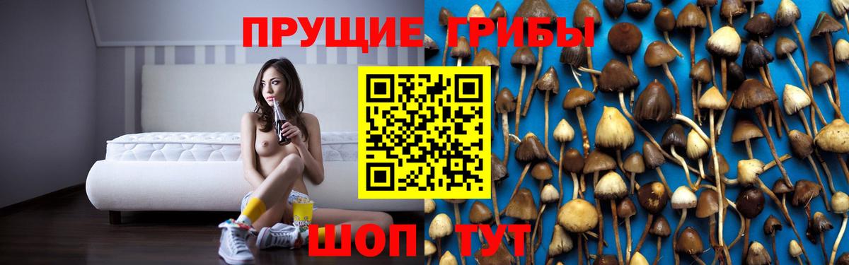 Галлюциногенные грибы Magic Shrooms Елизово
